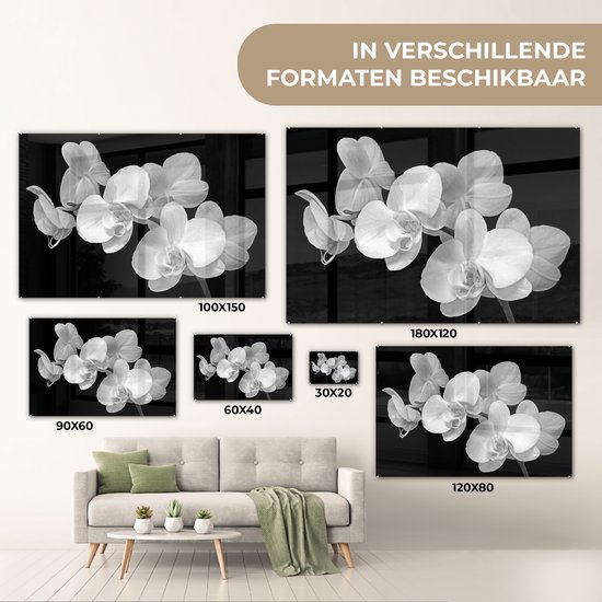 MuchoWow® Peinture sur Verre - Un gros plan d'orchidées sur fond noir - noir et blanc - 150x100 cm - Peintures sur Verre Acrylique - Photo sur Glas