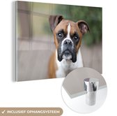 Un Boxer aux yeux scintillants Plexiglas 120x80 cm - Tirage photo sur Glas (décoration murale plexiglas)