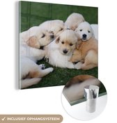 MuchoWow® Glasschilderij 90x90 cm - Schilderij acrylglas - Puppy - Gras - Hond - Foto op glas - Schilderijen