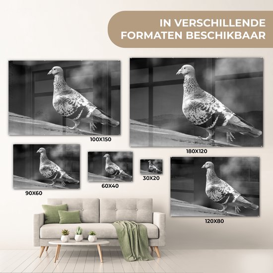 Peinture sur verre MuchoWow® - Pigeon voyageur sur un toit - noir et blanc - 120x80 cm - Peintures sur verre acrylique - Photo sur Glas