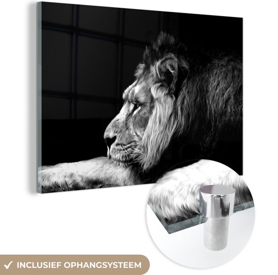 Peinture sur verre - Représentation façon dessin d'un lion - noir et blanc - 90x60 cm - Peintures sur Verre Peintures - Photo sur Glas