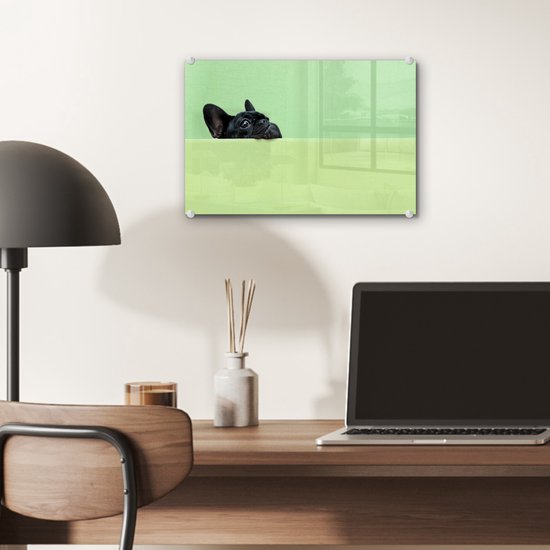 ® Glasschilderij 30x20 cm - Schilderij acrylglas - Franse Bulldog - Groen - Zwart - Foto op glas - Muurdecoratie woonkamer - Wanddecoratie slaapkamer - Schilderijen