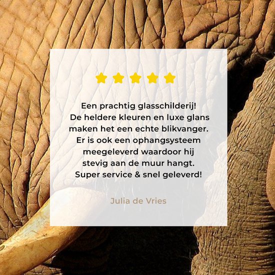 MuchoWow® Peinture sur verre 90x120 cm - Peinture sur verre acrylique - Éléphant - Animaux - Gros plan - Zwart - Photo sur verre - Peintures