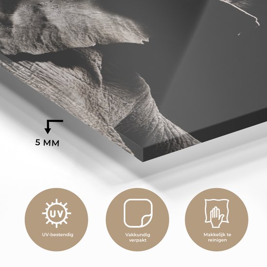 MuchoWow® Peinture sur verre - Éléphant - Zwart - Animaux - Nature - 120x90 cm - Peintures sur verre acrylique - Photo sur Glas