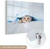 MuchoWow® Glasschilderij 30x20 cm - Schilderij acrylglas - Een kitten onder een deken - Foto op glas - Schilderijen