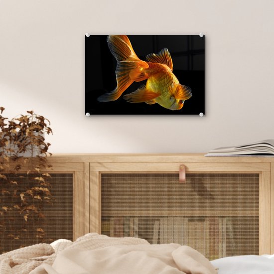 MuchoWow® Peinture sur verre - Poisson rouge - Animaux - Zwart - 30x20 cm - Peintures sur verre acrylique - Photo sur Glas