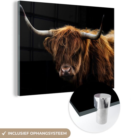 MuchoWow® Peinture sur Verre - Highlander écossais - Cornes - Zwart - Animaux - Nature - Sauvage - Taureau - Vache - 80x60 cm - Peintures sur Verre Acrylique - Photo sur Glas