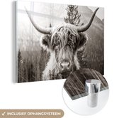 MuchoWow® Glasschilderij 30x20 cm - Schilderij acrylglas - Schotse hooglander - Dieren - Zwart - Wit - Foto op glas - Schilderijen