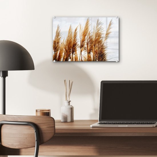 MuchoWow® Peinture sur verre 30x20 cm - Peinture acrylique sur verre - Herbe de la pampa - Soleil - Herbe - Photo sur verre - Peintures