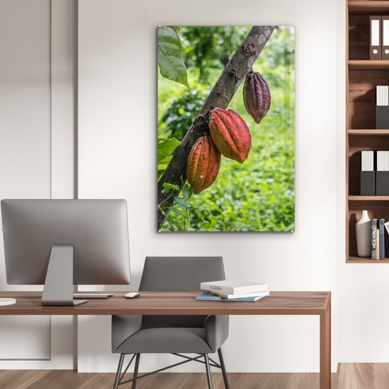 La jungle avec la fève de cacao dans les cabosses Plexiglas 60x90 cm - Tirage photo sur Glas (décoration murale plexiglas)
