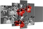 Peinture sur verre d'orchidée | Noir, rouge, gris | 170x100cm 5 Liège | Tirage photo sur verre |  F002748