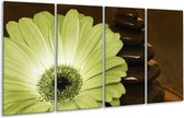 Peinture sur verre fleur | Blanc, marron, vert | 160x80cm 4 Liège | Tirage photo sur verre |  F002584