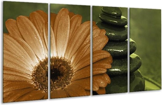 Peinture sur verre fleur | Blanc, marron, vert | 160x80cm 4 Liège | Tirage photo sur verre |  F002585