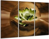 Peinture sur toile Fleur | Vert, marron | 120x80cm 3 Liège