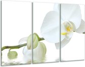 GroepArt - Schilderij -  Orchidee - Wit, Groen, Geel - 120x80cm 3Luik - 6000+ Schilderijen 0p Canvas Art Collectie
