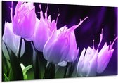 Peinture sur verre tulipe | Violet, noir, rose | 120x70cm 1Hatch | Tirage photo sur verre |  F003943