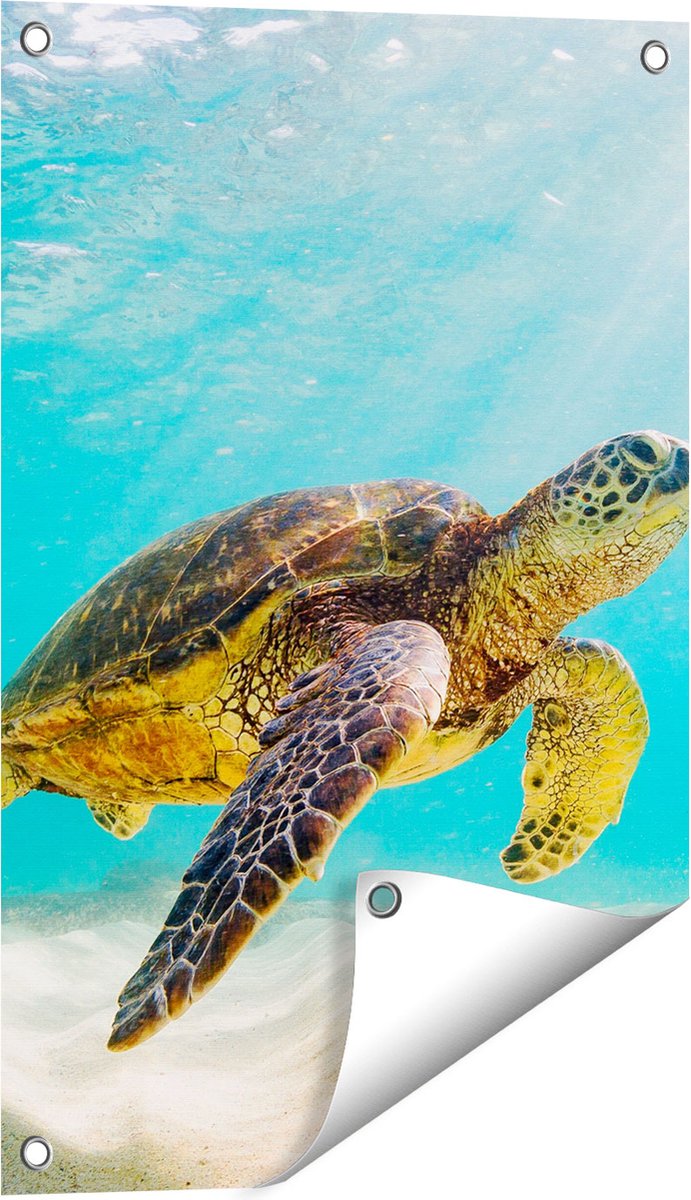 Gards Tuinposter Schildpad Zwemt in de Helder Blauwe Zee - 40x60 cm - Tuindoek - Tuindecoratie - Wanddecoratie buiten - Tuinschilderij Multikleur