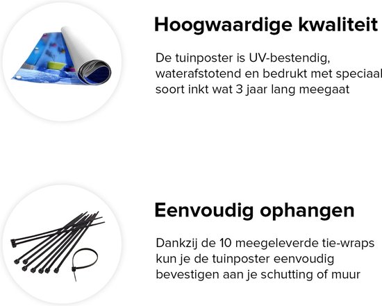 Gards Affiche de jardin Maisons bleues avec Pots de fleurs au Maroc Chefchaouen - 80x120 cm - Toile jardin - Décoration de jardin - Décoration murale extérieur - Tableau jardin