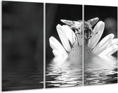Peinture | Peinture sur toile fleur | Gris, noir, blanc | 120x80cm 3 Liège | Tirage photo sur toile