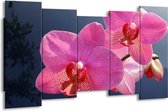 GroepArt - Canvas Schilderij - Orchidee - Paars, Wit, Rood - 150x80cm 5Luik- Groot Collectie Schilderijen Op Canvas En Wanddecoraties
