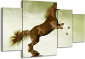 GroepArt - Schilderij -  Paard - Groen, Bruin - 160x90cm 4Luik - Schilderij Op Canvas - Foto Op Canvas