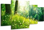 GroepArt - Schilderij -  Natuur - Groen - 160x90cm 4Luik - Schilderij Op Canvas - Foto Op Canvas