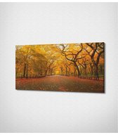 Central Park Autumn Canvas- 100 x 60 cm - Steden - Schilderij - Canvas - Slaapkamer - Wanddecoratie  - Slaapkamer - Foto op canvas