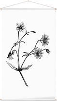 Grote Muur zwart-wit (Greater Stitchwort) - Foto op Textielposter - 60 x 90 cm