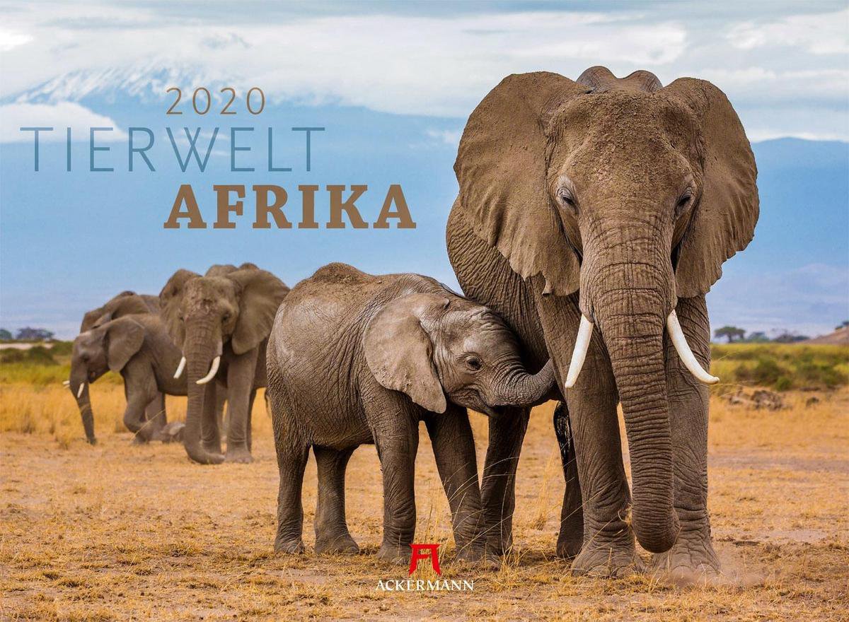 Tierwelt Afrika 2020 - Ackermann®