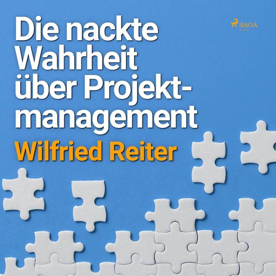 Die nackte Wahrheit über Projektmanagement (Ungekürzt) - cover