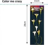 Petaloo color me crazy flowering vine spray