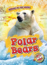 Animals of the Arctic - Polar Bears