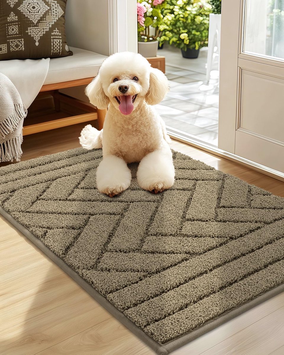 Ibenzoa Entree Mat van Polypropyleen, 50 x 80 cm, Antislip, Waterabsorberend, Lichtgrauw taupe