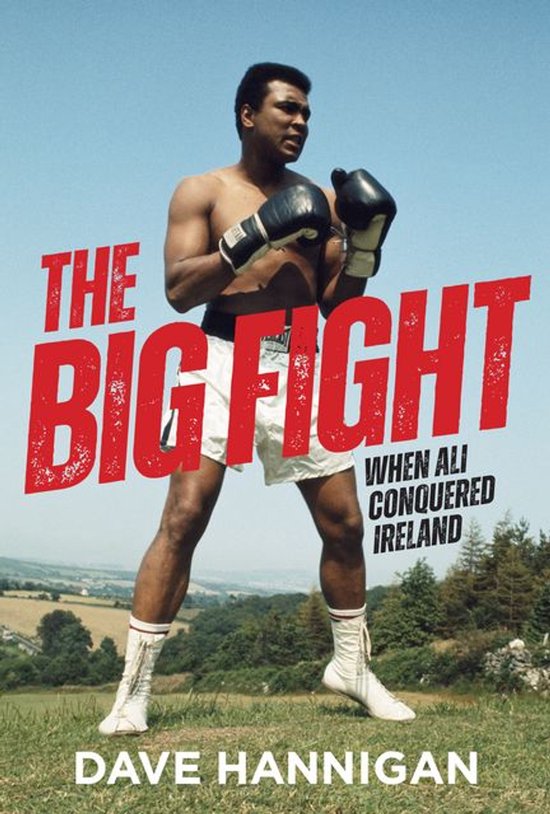 The Big Fight - cover