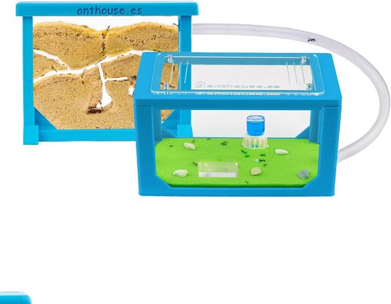 Sand Ant Farm Basic (mierenhoop, formicarium, educatief, mieren) GEEN MIEREN - België Sand Ant Farm Basic (mierenhoop, formicarium, educatief, mieren) GEEN MIEREN - België