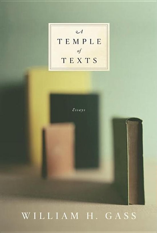 De kaft van 'A Temple of Texts' toont drie wazige, gekleurde boeken op een plank met op de voorgrond een bruin boek. Bovenin staat de titel in een verweerd kader.