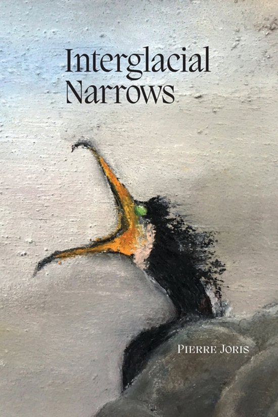 Interglacial Narrows - cover