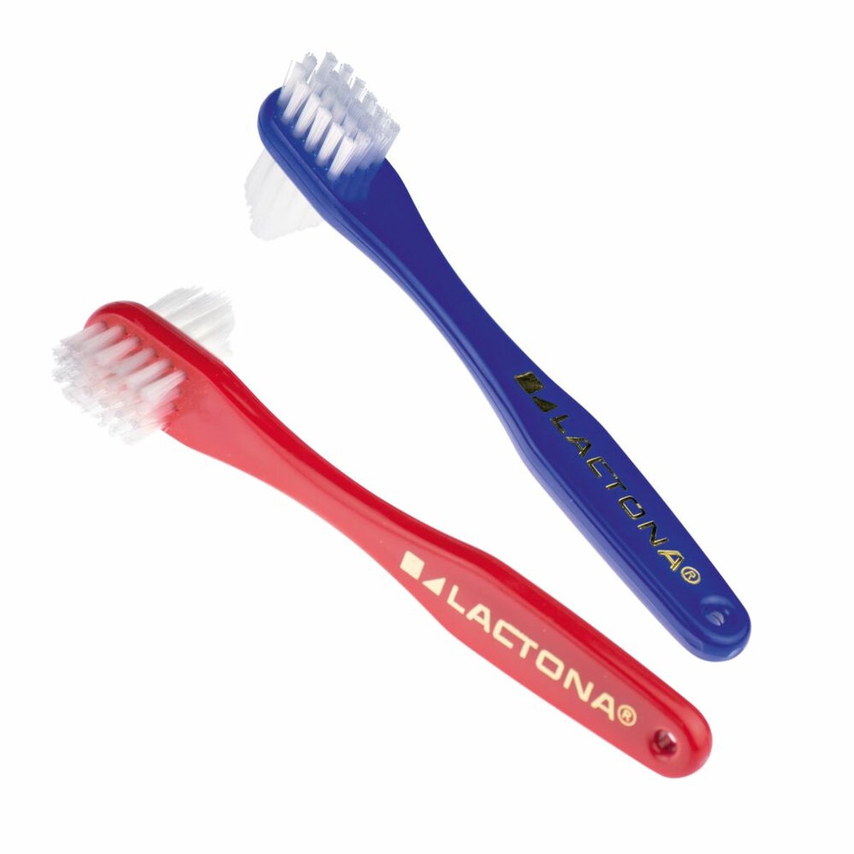 Goedkoopste 10x Lactona Protheseborstel