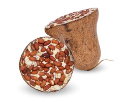 8 - 24 st. Lyra Pet® Energy Boost voederbel met pinda's