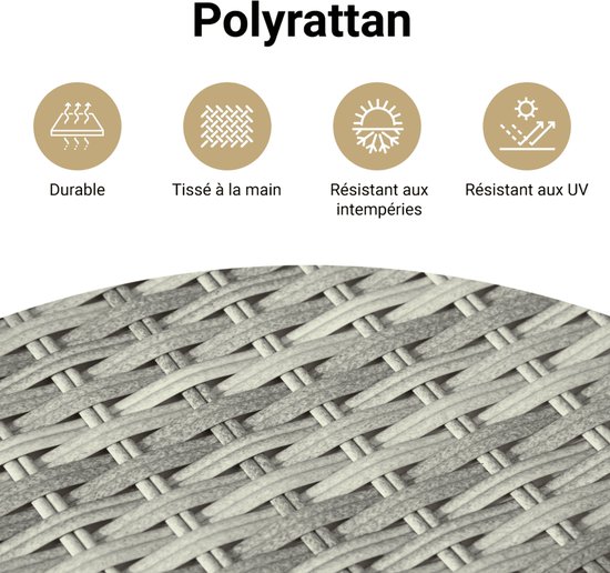 vidaXL-10-delige-Loungeset-met-kussens-poly-rattan-grijs