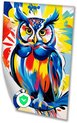 Uil, Pop Art, Geel, Blauw, Rood, Oranje, Wit