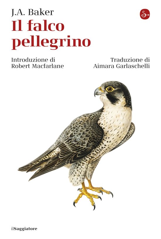 Il falco pellegrino - cover