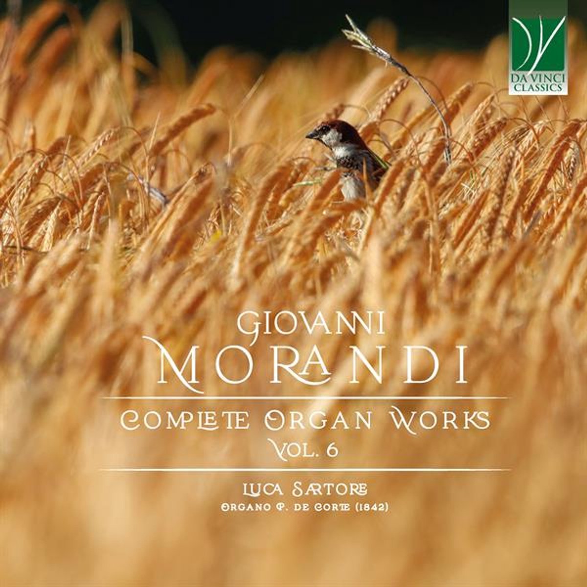 Luca Sartore - Giovanni Morandi: Complete Organ Works Vol. 6 (CD)