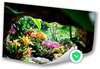 Tuin, Realistisch, Bloemen, Groen, geel, roze, oranje, rood