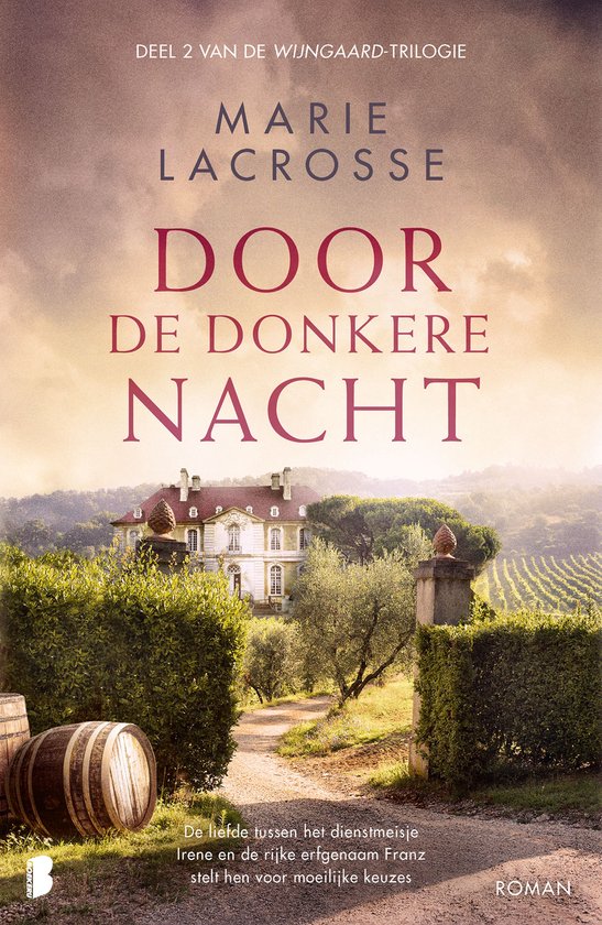 Wijngaard 2 - Door de donkere nacht - cover