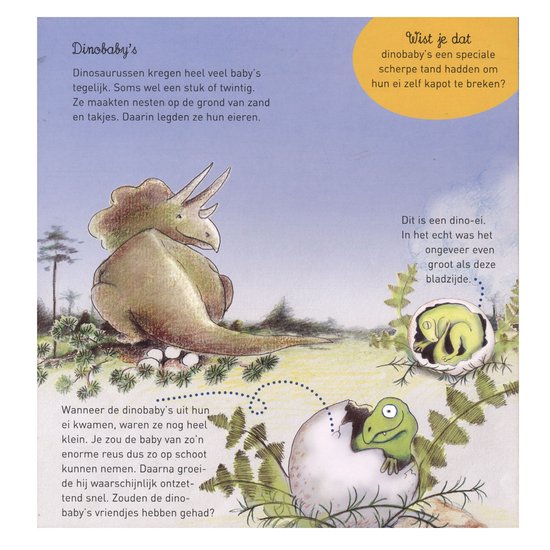 Illustratie van een dinosaurusmoeder die op eieren zit, en een dinosaurusbaby die uit een ei komt. Tekstblokken leggen het uit.