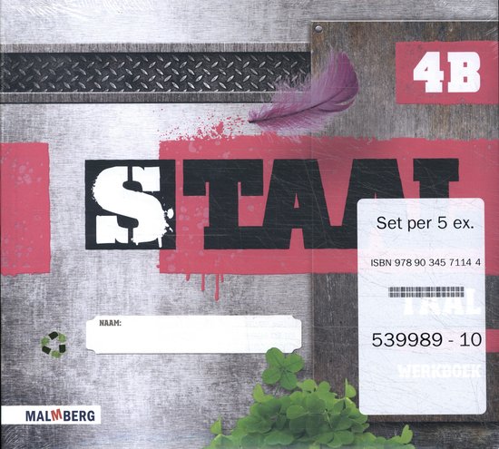 Staal Taal (set 5 ex) groep 4 Werkboek B - cover