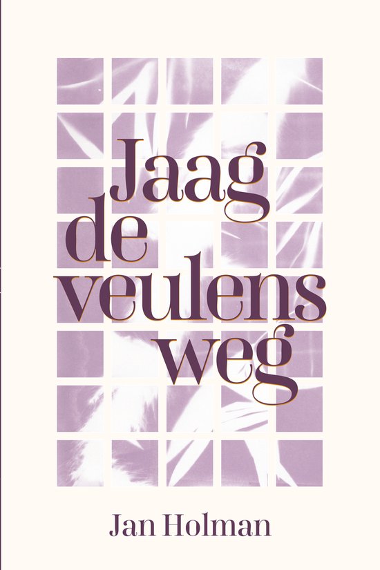 Boek 'Jaag de veulens weg' van Jan Holman met paars rasterpatroon en tekst.