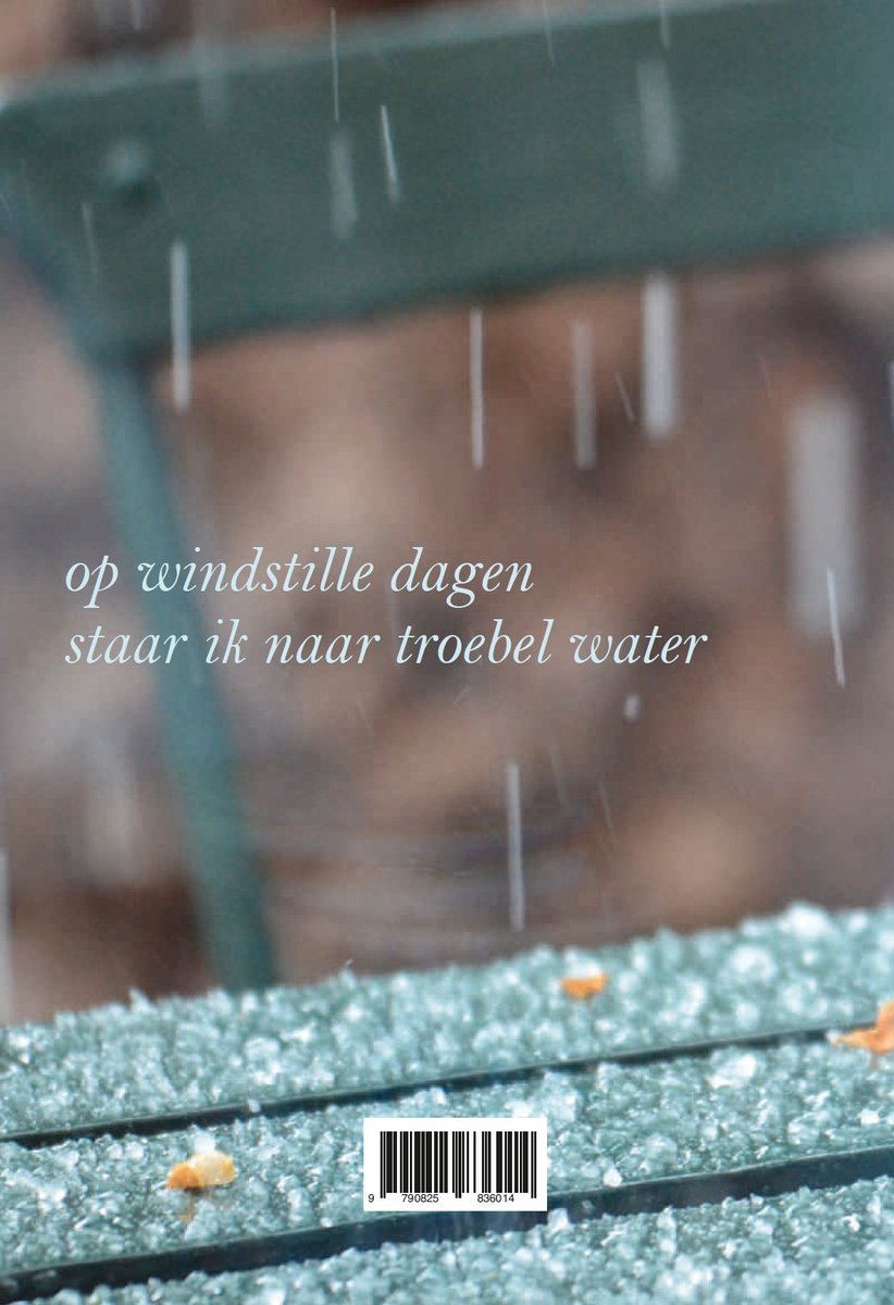 Boekomslag met tekst 'op windstille dagen staar ik naar troebel water'. Regen valt.