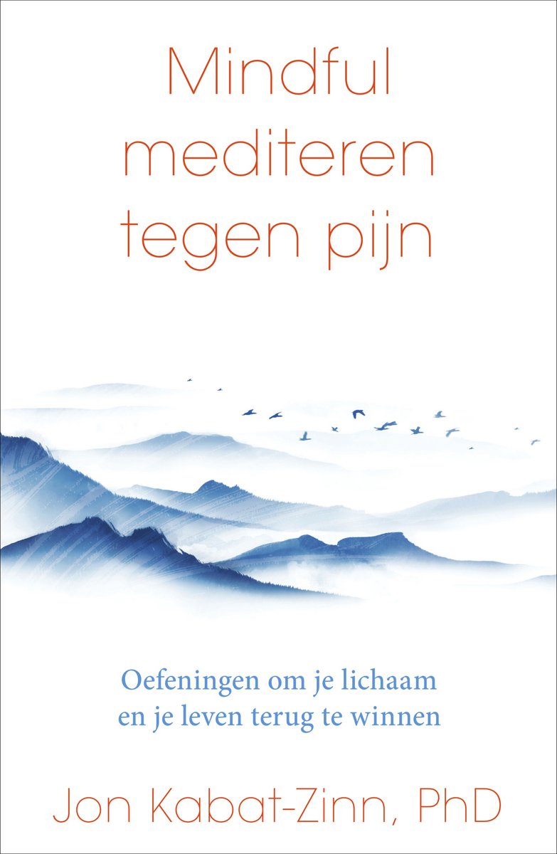 Boek 'Mindful mediteren tegen pijn' met blauwe bergen en vliegende vogels.